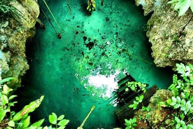 Tour to Cenote Santa Cruz - Important Considerations