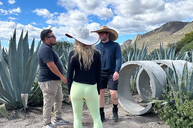 Tour to Hierve El Agua and Mezcal Distillery (Small Groups) - Viator Assistance