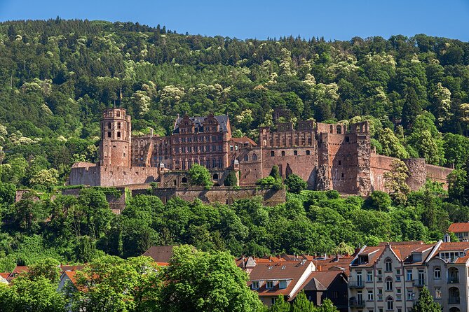 Touristic Highlights of Heidelberg on a Private Half Day Tour With a Local - Market Square Delights