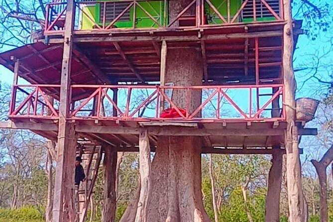 Tower Night Stay Bardia , Tree House Accommodation in Bardia - Bardia Adventure Itinerary