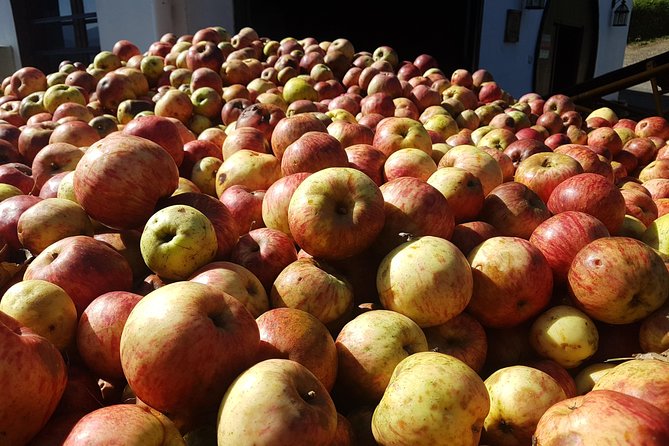 Traditional Basque Cider House Experience From San Sebastian - Background