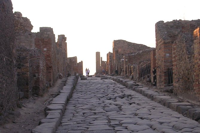 Transfer From Naples to Sorrento With 2 Hours Private Tour in Pompeii - Common questions