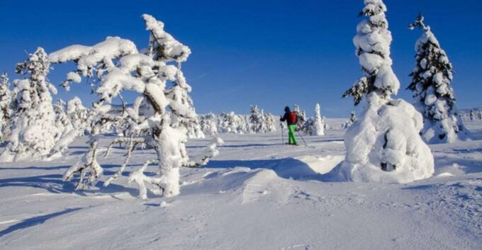 Trappeur's Evening : a Snowshoeing Night Trip to a Refuge - Winter Season Activities