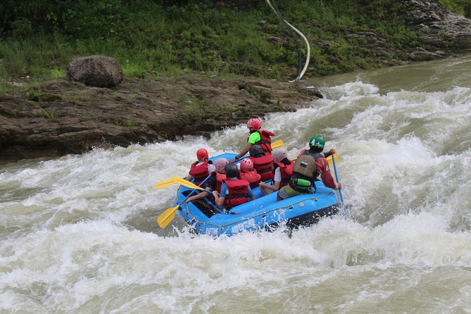 Trishuli 1 Day Rafting - Wildlife Spotting Opportunities