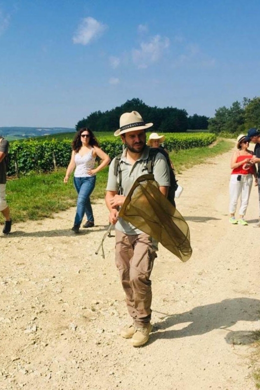 Troyes: Guided Vineyard Hike & Champagne Tasting Experience - Live Tour Guide