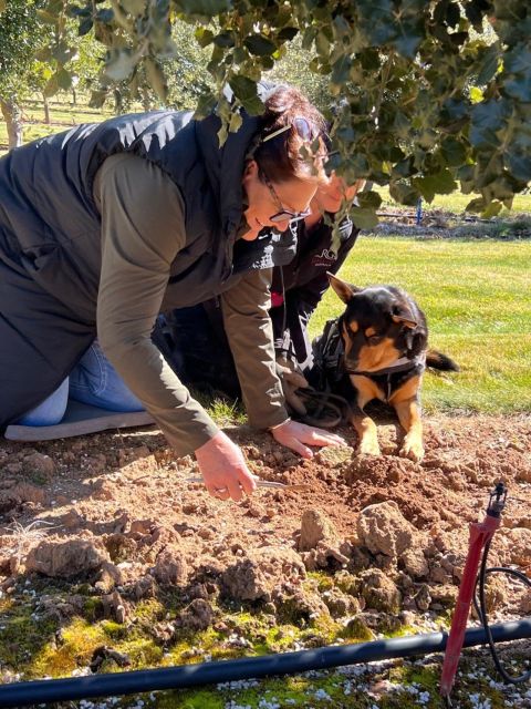 Truffle Hunt and Taste Experience in Oberon, NSW Australia - Inclusions and Exclusions