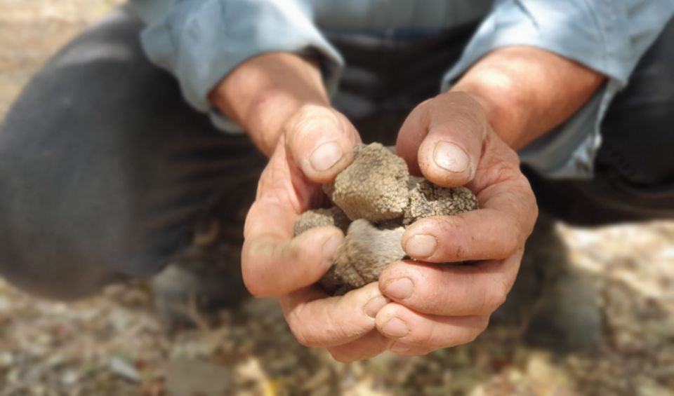 Truffle Hunting, Culinary & Wine Celebration From Heraklion - Visiting an Ancient Monastery