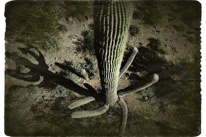 Tucson Interactive Scavenger Hunt  - Arizona - Secret Spots Exploration