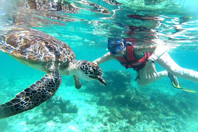 Tulum Ruins, Turtles in Akumal and Cenote Tour - Logistics and Recommendations