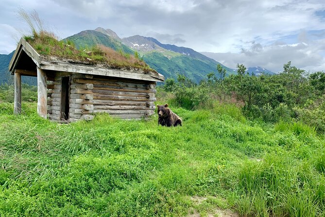 Turnagain Arm Sightseeing Experience and Wildlife Tour - Booking Details