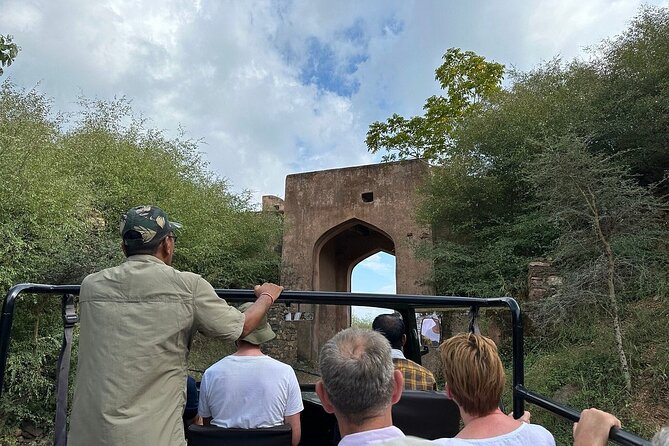 Two Night Safari Experience Ranthambore National Park &Transfers - Viator Help Center Assistance