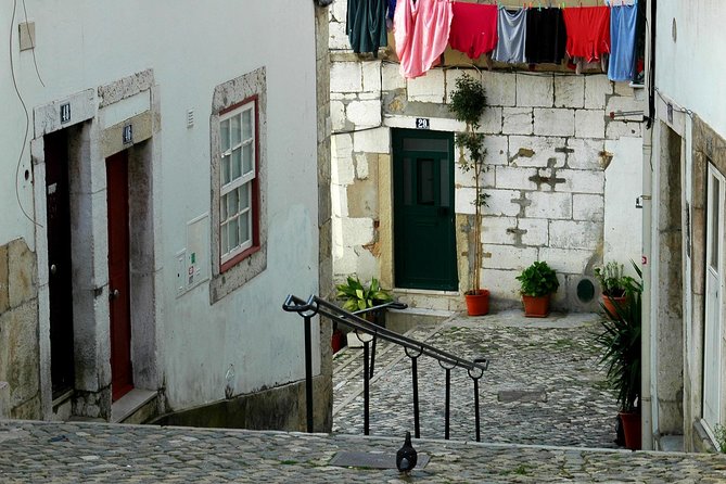 Typical Lisbon Tuk Tuk / Electric Car Tour - Additional Information