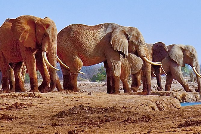 Ultimate Elephant Sanctuary Tour - Expert Guided Tour