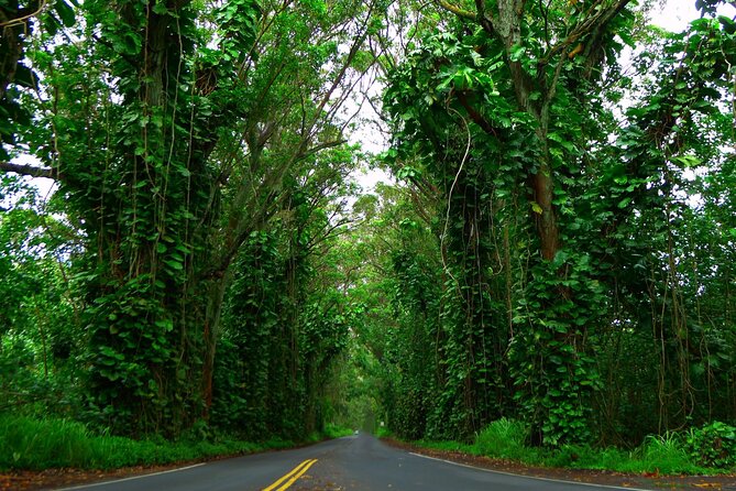 Ultimate Self-Guided Audio Driving Tour of Kauai (Na Pali, Waimea), Hawaii - Tour Logistics and Booking