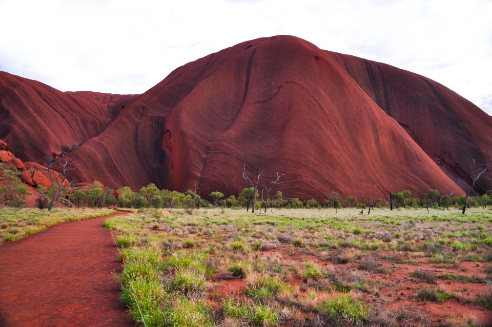 Uluru: Sacred Sites & Sunset Tour With Wine & Cheeseboard - Customer Reviews