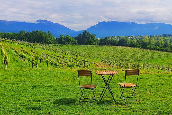 Unconventional Prosecco Tasting With Stunning View on Vineyards - Exclusive Tasting Packages