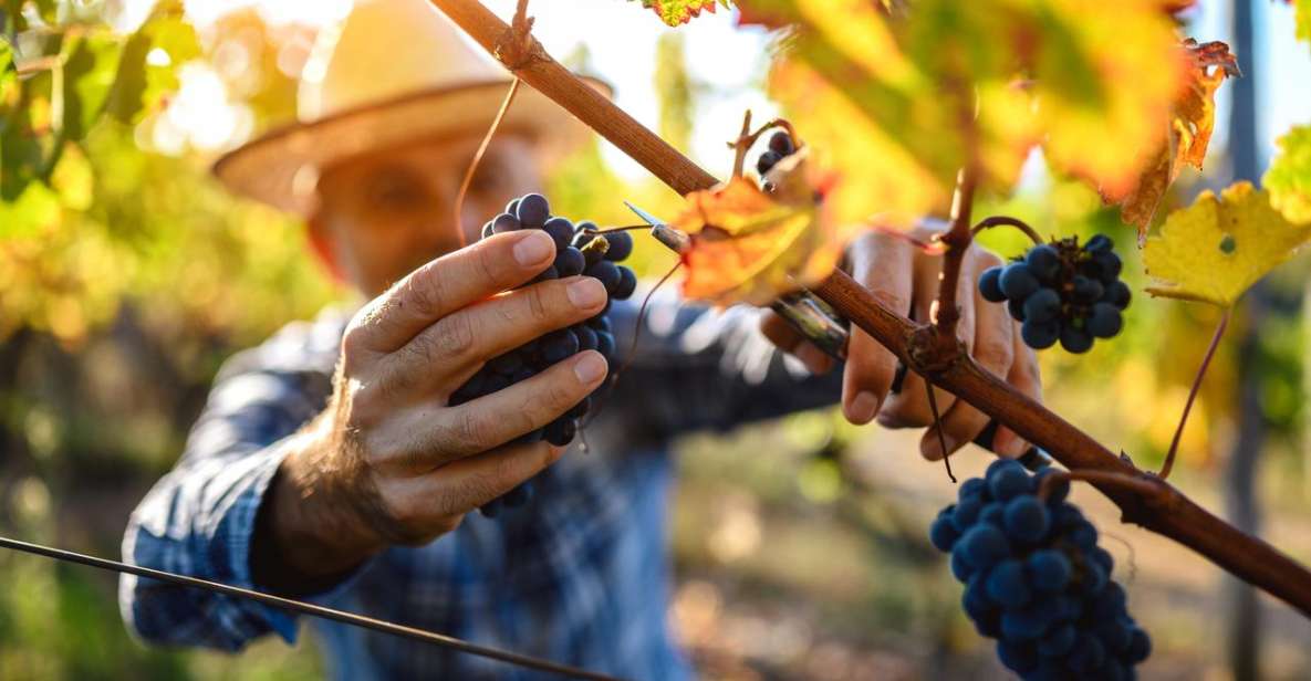 UNESCO Heritage and Wine Delights Private Tour From Bordeaux - Itinerary Details