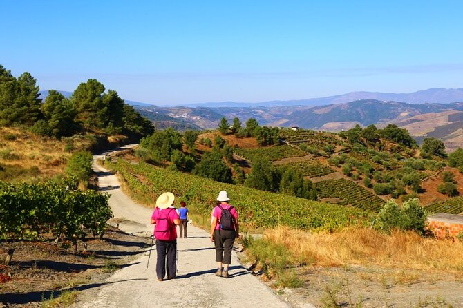 Valença Do Douro Walking Tour - Cancellation Policy