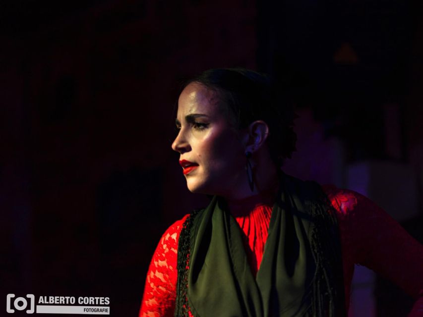 Valencia: Flamenco at Toro Y La Luna With Drinks or Dinner - Customer Reviews