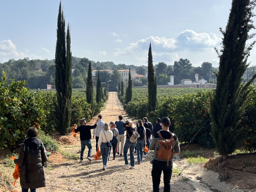 Valencia: Orange Farm and Orchard Trip With Tastings - Highlighted Experiences