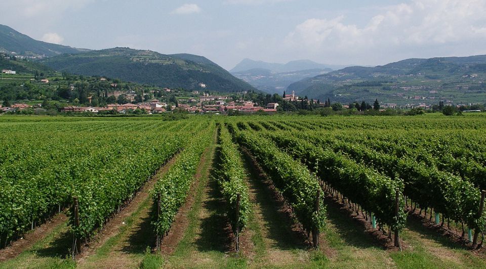 Veneto: Amarone Cooking and Tasting Experience in a Villa - Restrictions