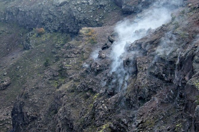 Vesuvius Small-Group Half-Day Tour From Naples With Lunch - Hike to the Volcano Summit