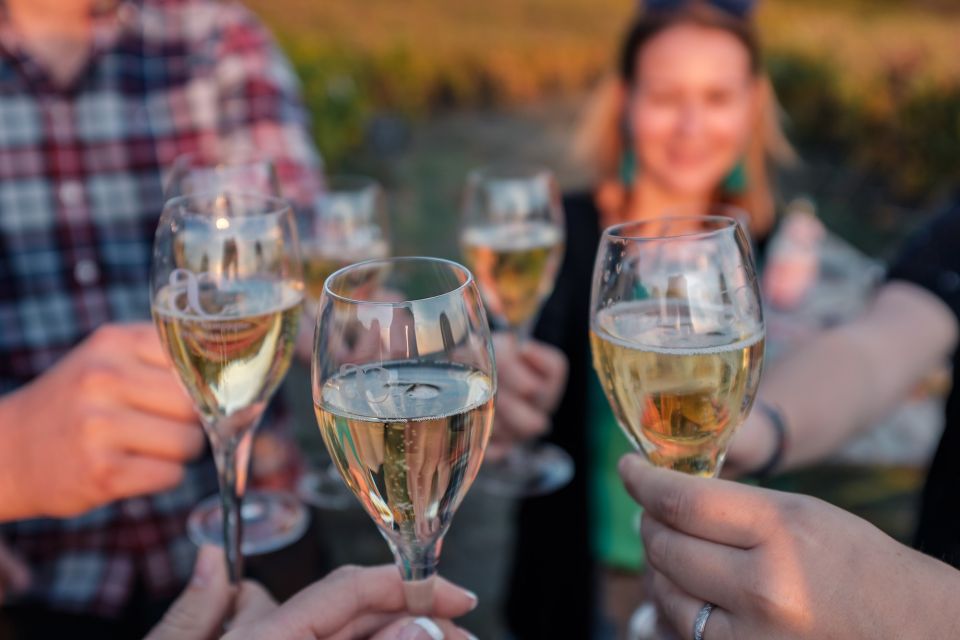 Veuve Clicquot Tasting and Fun Private Tour in Champagne - Inclusions and Accessibility Information