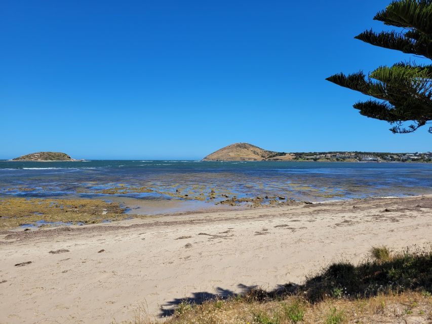 Victor Harbor: Stories of Shipwrecks & Settlers Walking Tour - Meeting Point