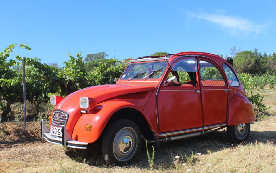 Vintage Wine Tour in Saint-Tropez - Booking Details