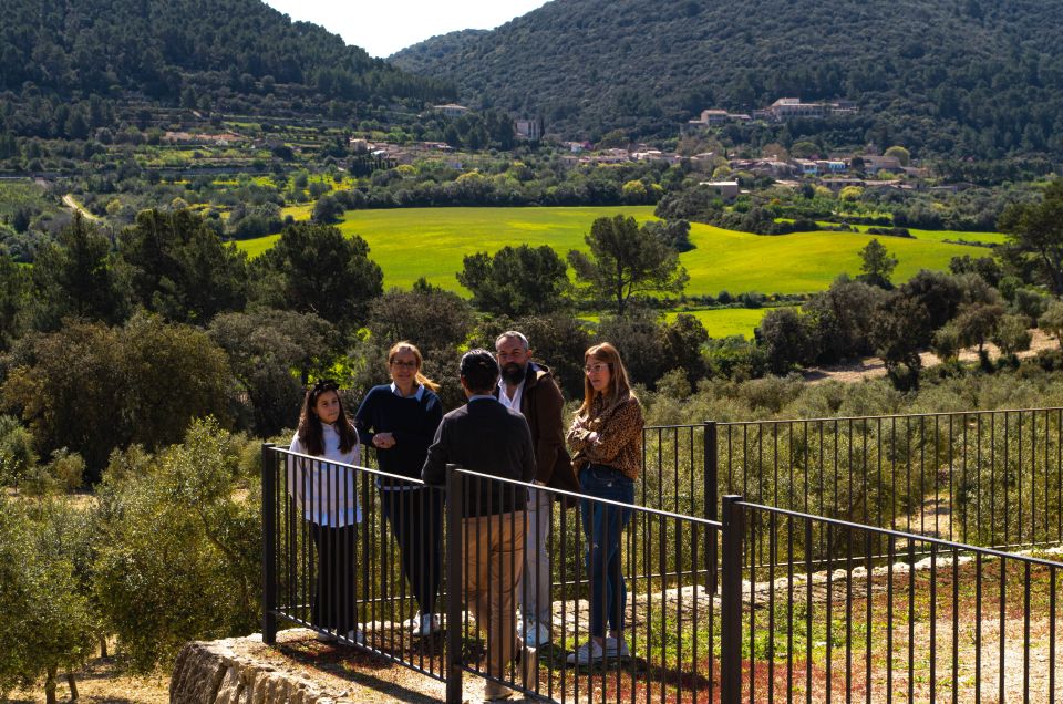 Visit of the Olive Grove, Olive Oil Tasting and Snack - Indulge in Local Snacks