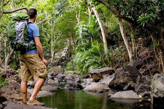 Wailua Valley & Waterfalls Audio Driving Tour - Provider Information