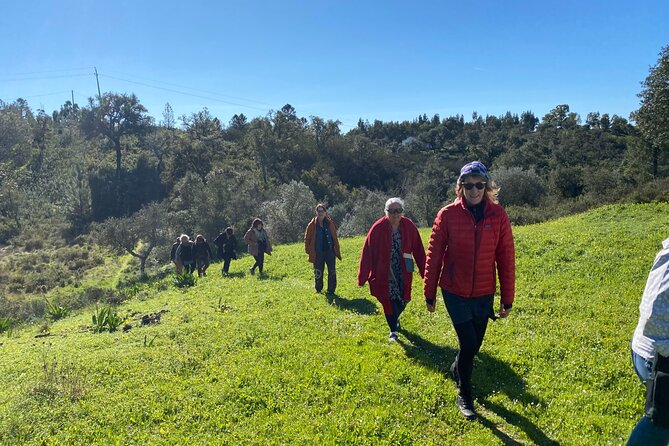 Walk in the Hills With Goat Herder-Local Honey, Wine and Cheese Tasting - Cancellation Policy & Refunds