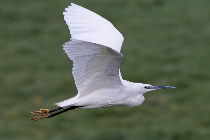 Walking Tour in the Cuckmere Valley - End Point and Cancellation Policy