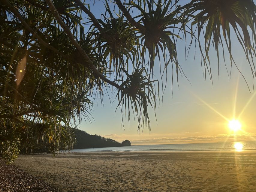 Wallabies on the Beach Sunrise Trip From Mackay - Customer Reviews