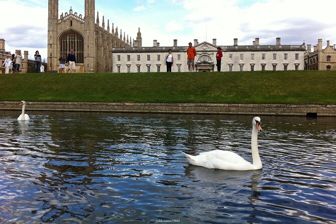 Welcome to Cambridge: Private Tour Including Kings College Chapel - Common questions