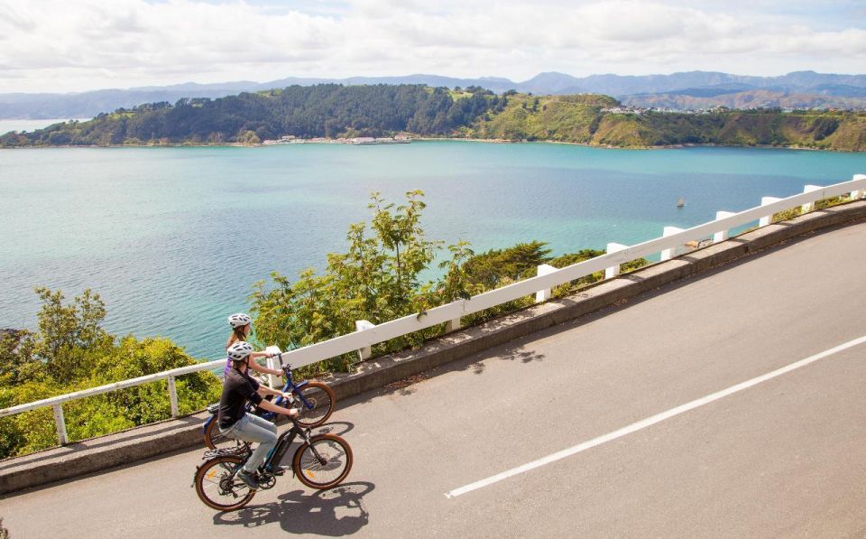 Wellington: Guided Sightseeing Tour by Electric Bike - Tour Description