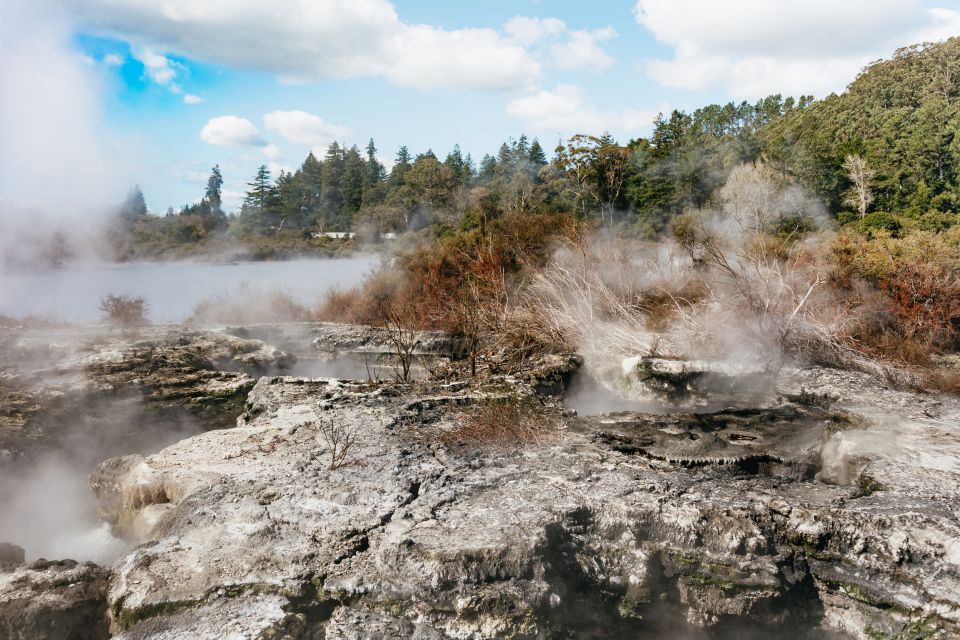 Whakarewarewa: Entrance to the Geothermal Trails - Engaging With Local Guides