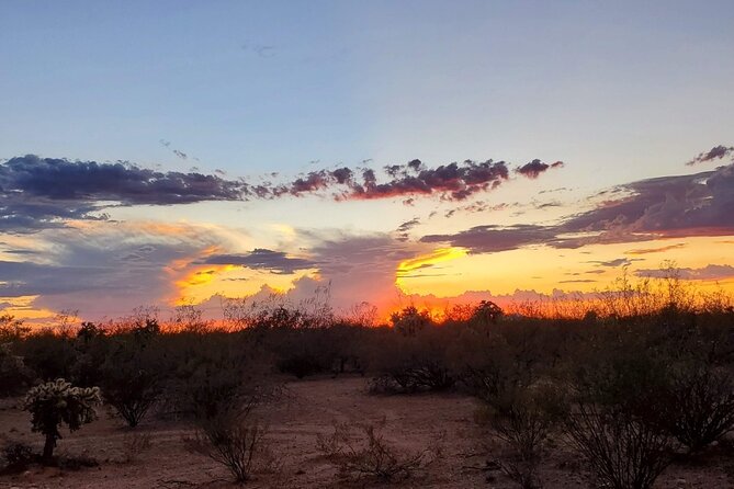 When Nature Calls - Exploring the Sonoran Desert - Customer Support and Assistance