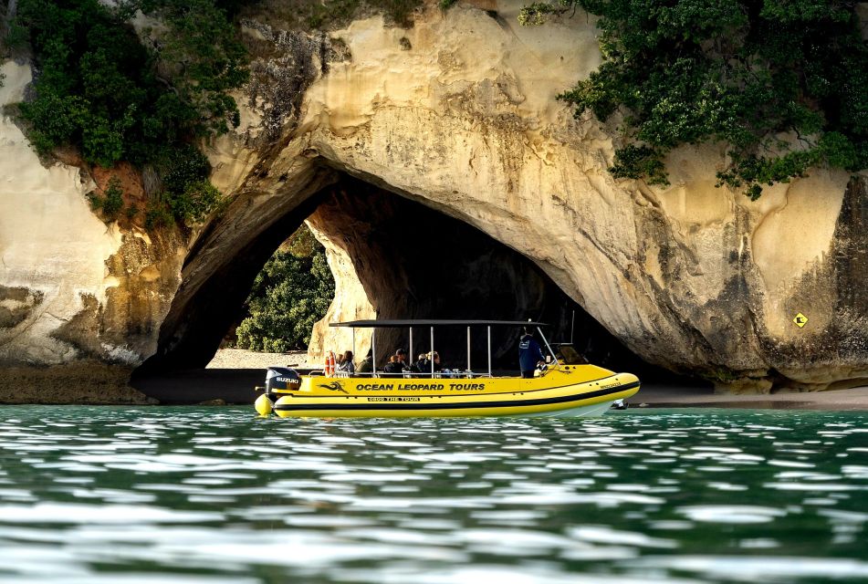 Whitianga: Cathedral Cove 2 Hour Boat Cruise - Meeting Point Details