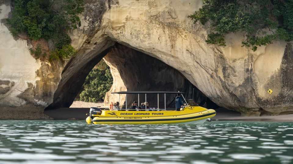 Whitianga: Cathedral Cove Highlights Boat Tour - Meeting Point and Embarkation Details