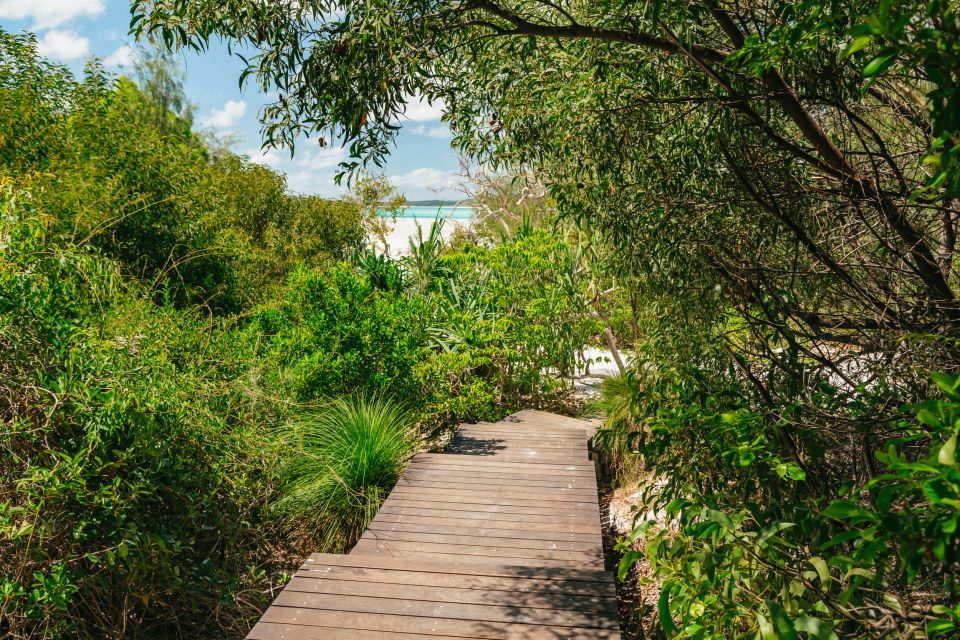 Whitsundays Ocean Rafting Tour: Snorkel, Walk & Whitehaven - Important Information