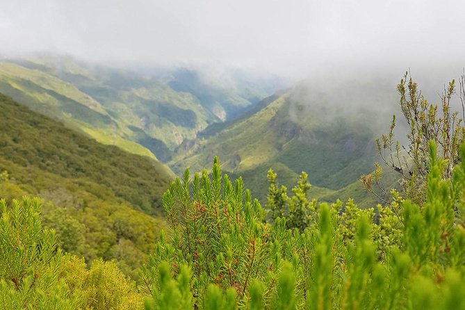 Wind Lagoon and Waterfalls Hike and Tour - Cancellation Policy