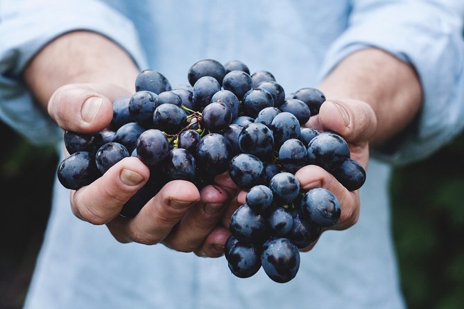 Wine Tasting Private Tour in Ribera Del Duero From Madrid - Booking and Pricing