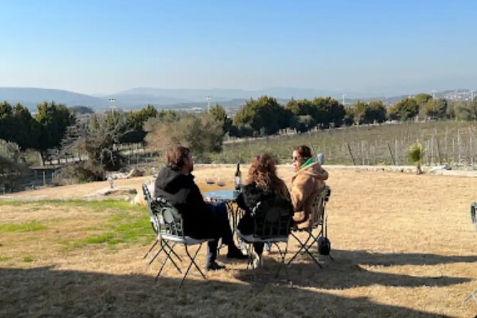 Wine Tasting Tour at Two Wineries in Urla Turkey - Common questions