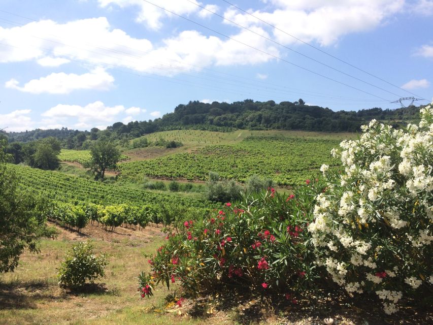 Wine Tour Cathar Country - Logistics and Accessibility