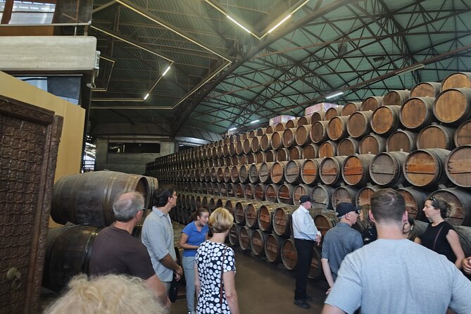 Wine Tour, Discovering the Famous Setúbal Moscatel - Assistance and Additional Information