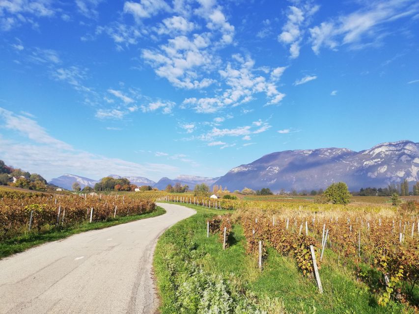 Wine Tour With Private Driver - 10 Hours - Scenic Stops and Activities