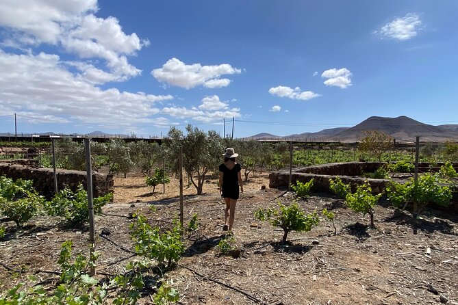 Winery and Chocolate Tasting Experience in Fuerteventura - Common questions