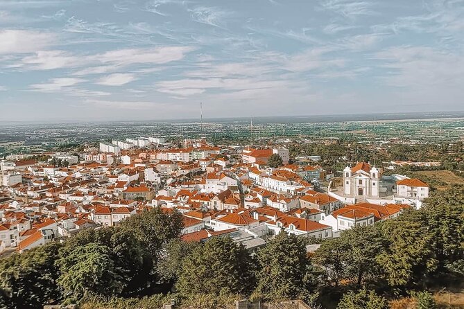 Winetour - Terras De Santiago - Palmela - Local Cuisine Delights