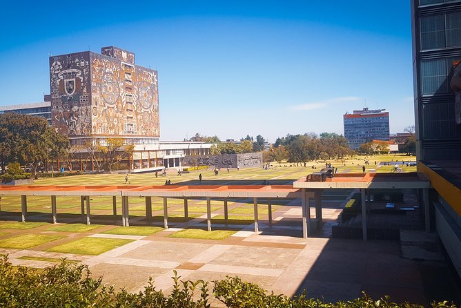 Xochimilco Coyoacan Azteca Stadium UNAM - Tour Experiences and Feedback